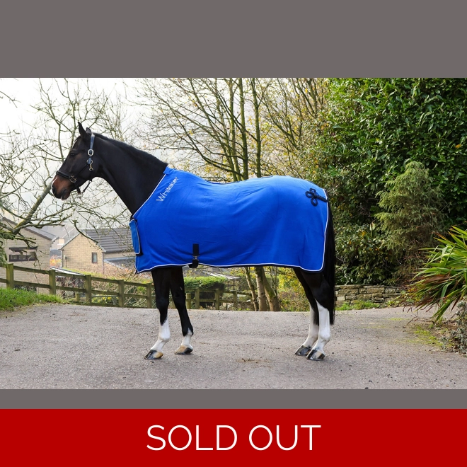 product Image for Whitaker R160 Club Show Rug  Royal